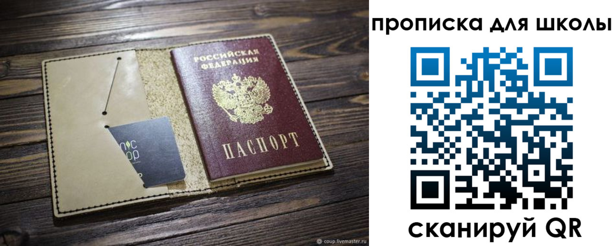прописка 2025 в Светлогорске
