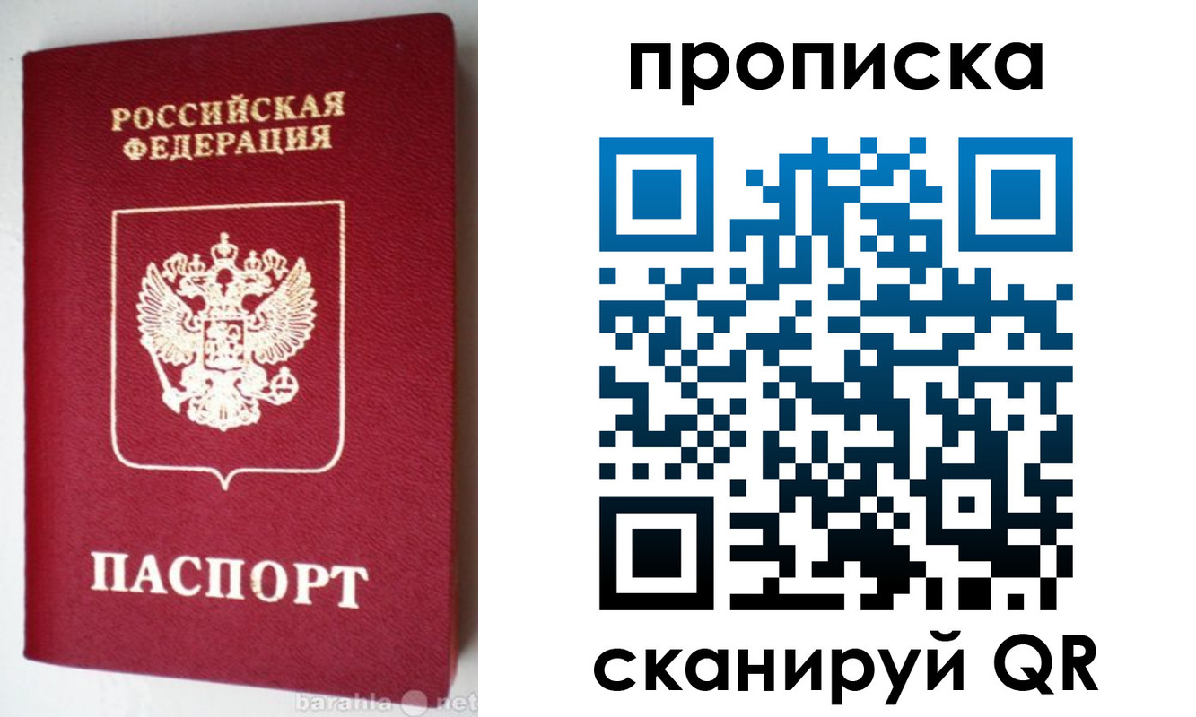 прописка поиск в Светлогорске